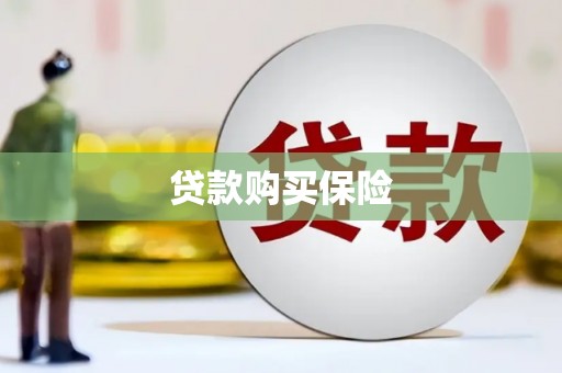 陆良贷款购买保险