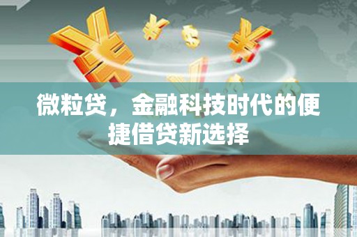 陆良微粒贷，金融科技时代的便捷借贷新选择