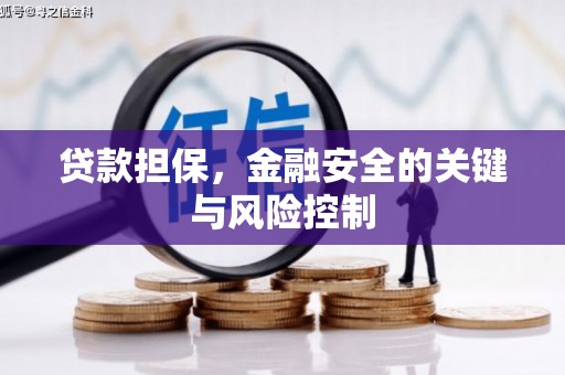 陆良贷款担保，金融安全的关键与风险控制