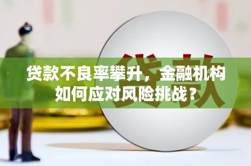 陆良贷款不良率攀升，金融机构如何应对风险挑战？