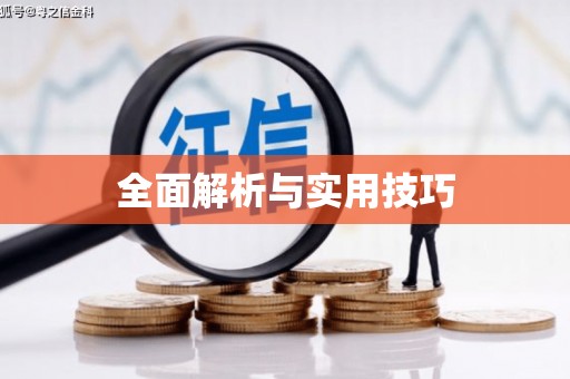 陆良全面解析与实用技巧
