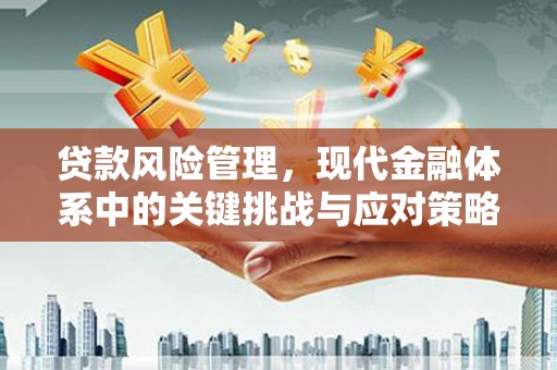 陆良贷款风险管理，现代金融体系中的关键挑战与应对策略