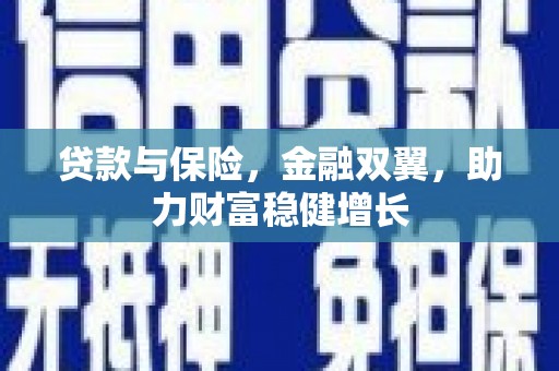 陆良贷款与保险，金融双翼，助力财富稳健增长