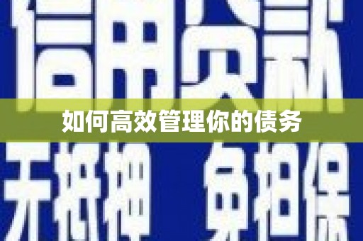 陆良如何高效管理你的债务
