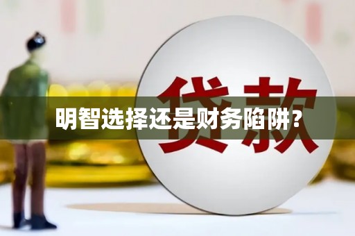 陆良明智选择还是财务陷阱？