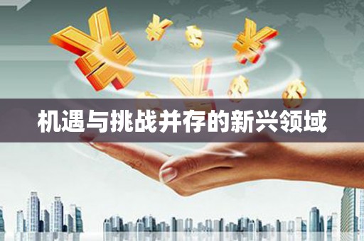 陆良机遇与挑战并存的新兴领域