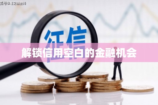 陆良解锁信用空白的金融机会
