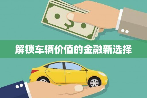 陆良解锁车辆价值的金融新选择