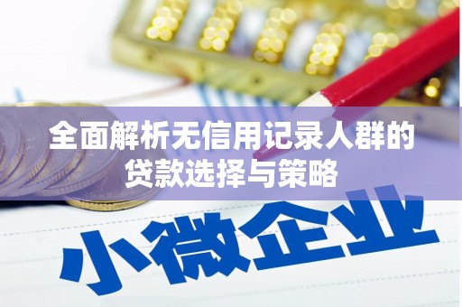 陆良全面解析无信用记录人群的贷款选择与策略