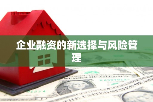 陆良企业融资的新选择与风险管理
