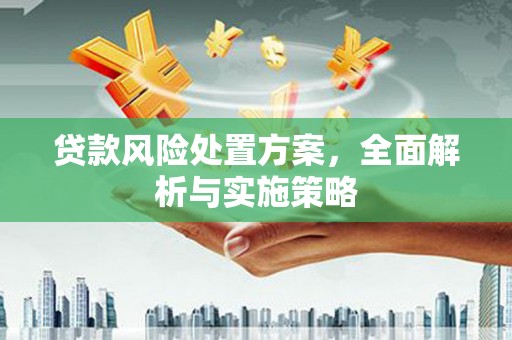 陆良贷款风险处置方案，全面解析与实施策略