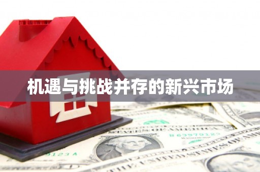 陆良机遇与挑战并存的新兴市场