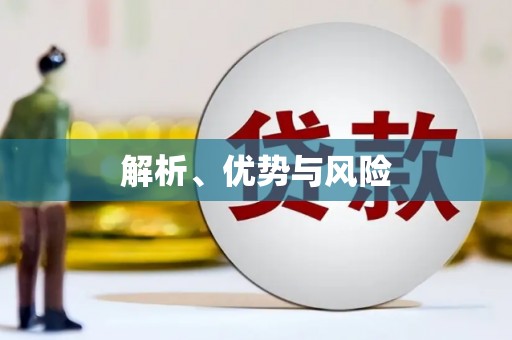 陆良解析、优势与风险