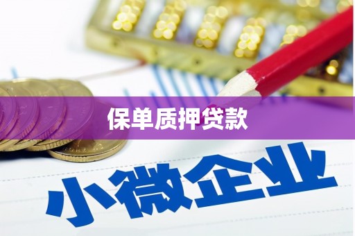 陆良保单质押贷款