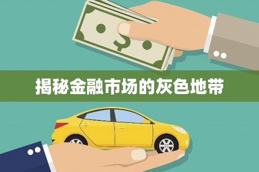 陆良揭秘金融市场的灰色地带