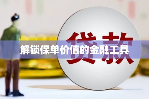 陆良解锁保单价值的金融工具