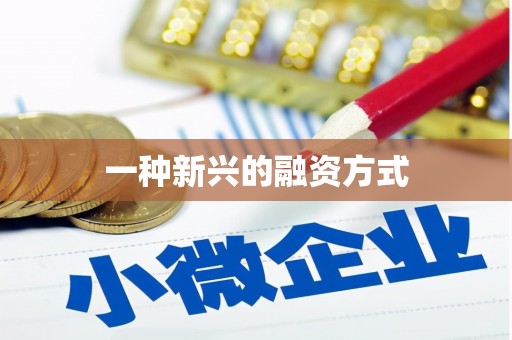 陆良一种新兴的融资方式