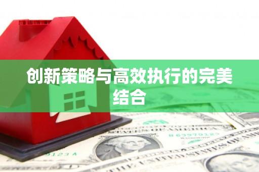陆良创新策略与高效执行的完美结合