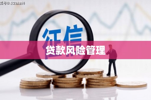 陆良贷款风险管理