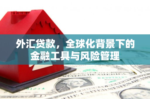 陆良外汇贷款，全球化背景下的金融工具与风险管理