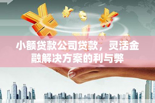陆良小额贷款公司贷款，灵活金融解决方案的利与弊