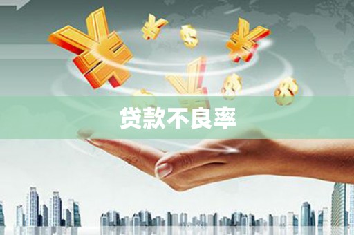 陆良贷款不良率