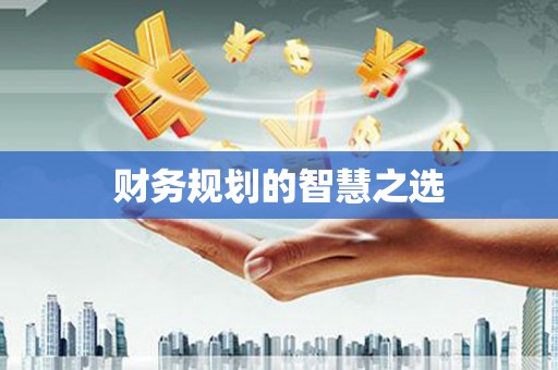 陆良财务规划的智慧之选