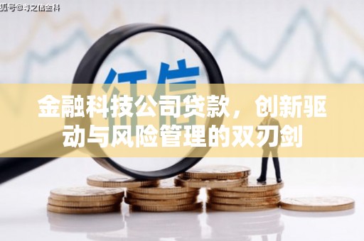 陆良金融科技公司贷款，创新驱动与风险管理的双刃剑